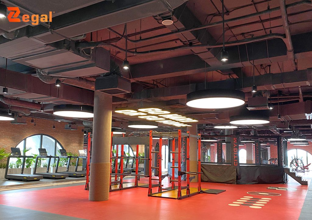 Translucent round lights provide soft and modern lighting.