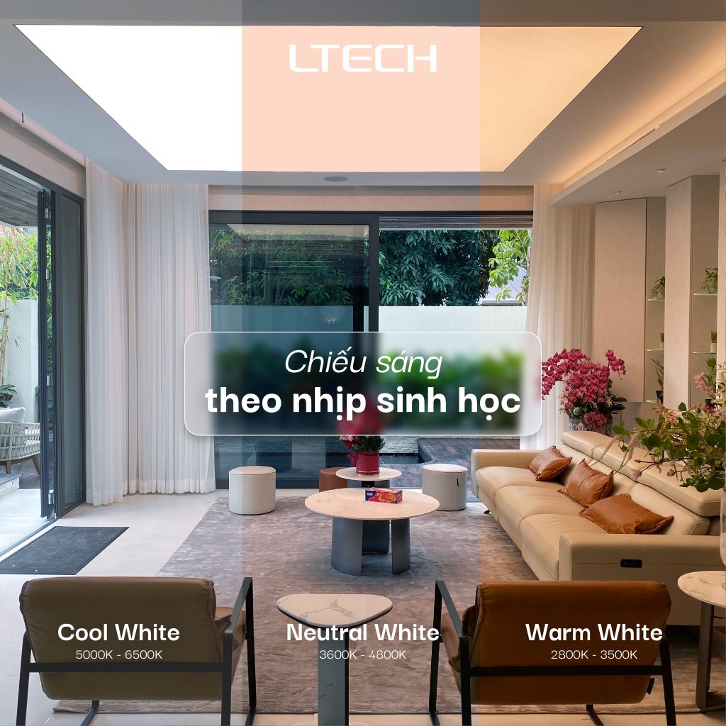Chiếu sáng theo nhịp sinh học giúp cân bằng cảm xúc và sức khỏe người dùng