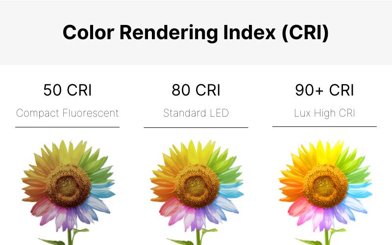 Comparing the colors of objects under LED lighting (Source: Internet).
