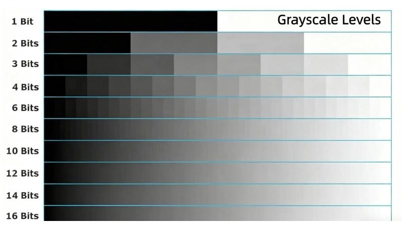 Các cấp độ Gray Scale phổ biến (nguồn Internet)